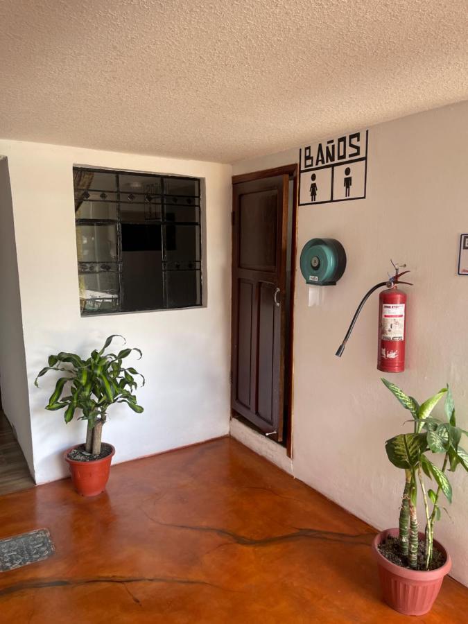 El Jardin Escondido Party Hostel Baños Εξωτερικό φωτογραφία